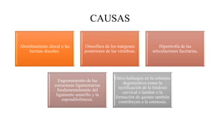 CAUSAS
Abombamiento discal o las
hernias discales.
Osteofitos de los márgenes
posteriores de las vértebras.
Hipertrofia de las
articulaciones facetarias.
Engrosamiento de las
estructuras ligamentarias
fundamentalmente del
ligamento amarillo y la
espondilolistesis.
Otros hallazgos en la columna
degenerativa como la
rectificación de la lordosis
cervical o lumbar o la
formación de quistes también
contribuyen a la estenosis.
 