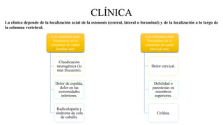 CLÍNICA
Los síntomas más
frecuentes en la
estenosis de canal
lumbar son:
Claudicación
neurogénica (lo
más frecuente).
Dolor de espalda,
dolor en las
extremidades
inferiores.
Radiculopatía y
síndrome de cola
de caballo.
La clínica depende de la localización axial de la estenosis (central, lateral o foraminal) y de la localización a lo largo de
la columna vertebral.
Los síntomas más
frecuentes en la
estenosis de canal
cervical son:
Dolor cervical.
Debilidad o
parestesias en
miembros
superiores.
Cefalea.
 