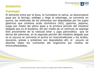 Anatomía
Fisiología
El alimento entra por la boca, lo humedece la saliva, se descompone
pasa por la faringe, esófago y llega al estomago, se convierte en
quimo, las moléculas de los alimentos son degradadas por los jugos
gástricos que contiene acido clorhídrico (Hcl), gastrina, pepsina,
luego por medio del píloro pasa a la primera porción del intestino
delgado que es el duodeno, allí por medio de un estimulo se segrega
bilis proveniente de la vesícula biliar y jugo pancreático que se
deriva del páncreas, en la segunda porción del intestino delgado que
es el yeyuno se convierte el quimo en macromoléculas y los ácidos,
azucares, grasas y proteínas son degradados allí; el yeyuno se
absorbe todos los nutrientes del organismo por medios de
microvellosidades;




             Todos los Derechos Reservados. Instituto Universitario de Tecnología "Readic" UNIR. Rif J-30001989-6 © 2011.
                                                                                                                            12
 