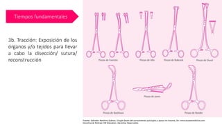 Tiempos fundamentales
3b. Tracción: Exposición de los
órganos y/o tejidos para llevar
a cabo la disección/ sutura/
reconstrucción
 