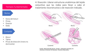 Tiempos fundamentales
4. Disección: Liberar estructuras anatómicas del tejido
conjuntivo que las rodea para llevar a cabo el
tratamiento reconstructivo o de resección indicado.
Roma
Cortante
• Dorso del bisturí
• Pinzas
• Disector
• Dedo
• Bisturí
• Tijeras
• Pinzas de disección (mano no
dominante)
 