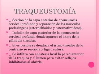 TRAQUEOSTOMÍA
_ Sección de la capa anterior de aponeurosis
cervical profunda y separación de los músculos
prelaringeos (esternohioideo y esternotiroideos).
 _ Incisión de capa posterior de la aponeurosis
cervical profunda donde aparece el istmo de la
glándula tiroides.
 _ Si es posible se desplaza el istmo tiroideo de lo
contrario se secciona y liga o sutura.
 _ Se infiltra con anestesia local la pared anterior
de la tráquea y el lumen para evitar reflejos
inhibitorios al abrirla .


 