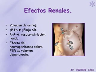 Efectos Renales.
• Volumen de orina↓.
• ↑P.IA.►↓Flujo SR.
• R-A-A: vasoconstricción
renal.
• Efecto del
neumoperitoneo sobre
FSR es volumen
dependiente.
 