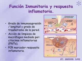 Función Inmunitaria y respuesta
inflamatoria.
• Grado de inmunosupresión
/ longitud y grado de
traumatismo de la pared.
• Acción de limpieza de
macrófagos mediada por:
citocinas inflamatorias
(FNTα).
• PCR marcador respuesta
inflamatoria.
 