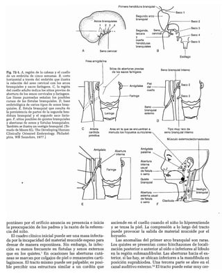 CLINICA QUIRURGICA - Cirugia pediatrica   ashcraft