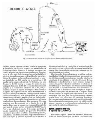 CLINICA QUIRURGICA - Cirugia pediatrica   ashcraft