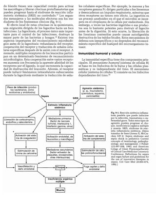 CLINICA QUIRURGICA - Cirugia pediatrica   ashcraft