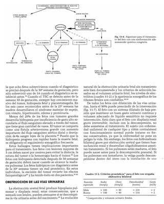CLINICA QUIRURGICA - Cirugia pediatrica   ashcraft
