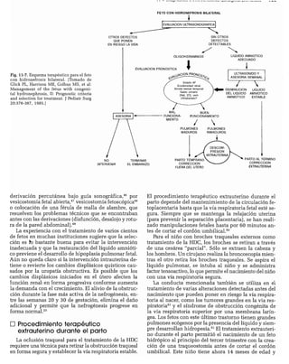 CLINICA QUIRURGICA - Cirugia pediatrica   ashcraft