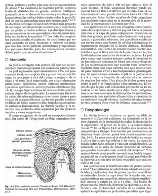 CLINICA QUIRURGICA - Cirugia pediatrica   ashcraft