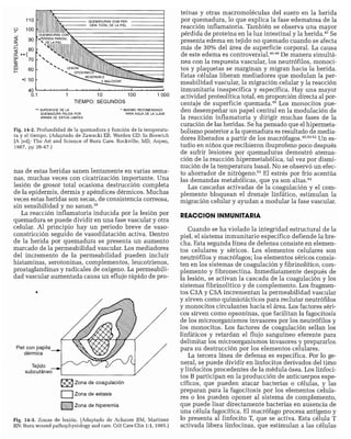 CLINICA QUIRURGICA - Cirugia pediatrica   ashcraft