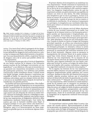 CLINICA QUIRURGICA - Cirugia pediatrica   ashcraft