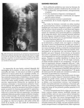 CLINICA QUIRURGICA - Cirugia pediatrica   ashcraft