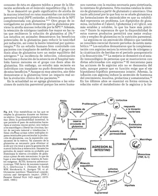 CLINICA QUIRURGICA - Cirugia pediatrica   ashcraft