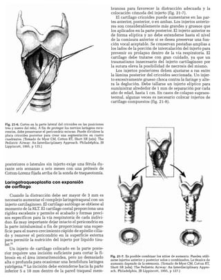 CLINICA QUIRURGICA - Cirugia pediatrica   ashcraft