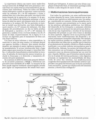 CLINICA QUIRURGICA - Cirugia pediatrica   ashcraft