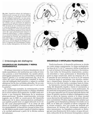 CLINICA QUIRURGICA - Cirugia pediatrica   ashcraft