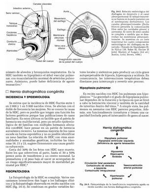 CLINICA QUIRURGICA - Cirugia pediatrica   ashcraft