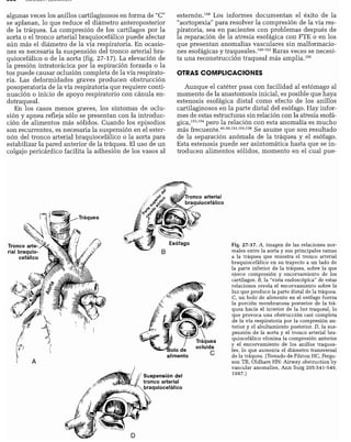 CLINICA QUIRURGICA - Cirugia pediatrica   ashcraft