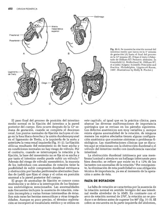 CLINICA QUIRURGICA - Cirugia pediatrica   ashcraft