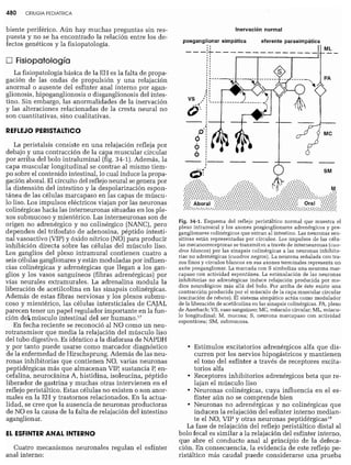 CLINICA QUIRURGICA - Cirugia pediatrica   ashcraft
