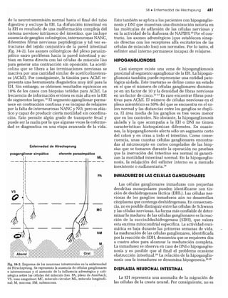CLINICA QUIRURGICA - Cirugia pediatrica   ashcraft
