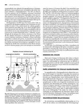 CLINICA QUIRURGICA - Cirugia pediatrica   ashcraft