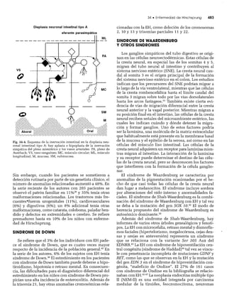 CLINICA QUIRURGICA - Cirugia pediatrica   ashcraft