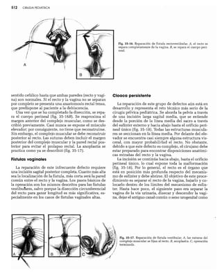 CLINICA QUIRURGICA - Cirugia pediatrica   ashcraft