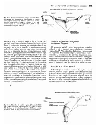 CLINICA QUIRURGICA - Cirugia pediatrica   ashcraft