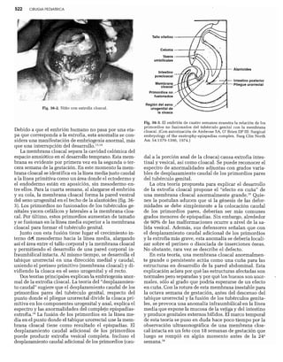 CLINICA QUIRURGICA - Cirugia pediatrica   ashcraft