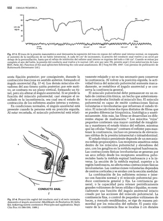 CLINICA QUIRURGICA - Cirugia pediatrica   ashcraft