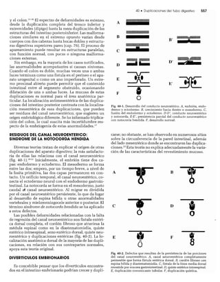 CLINICA QUIRURGICA - Cirugia pediatrica   ashcraft
