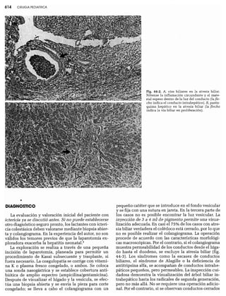 CLINICA QUIRURGICA - Cirugia pediatrica   ashcraft