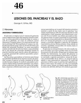 CLINICA QUIRURGICA - Cirugia pediatrica   ashcraft