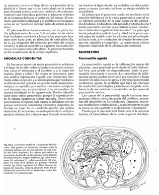 CLINICA QUIRURGICA - Cirugia pediatrica   ashcraft