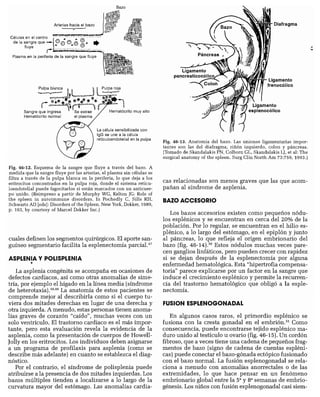 CLINICA QUIRURGICA - Cirugia pediatrica   ashcraft