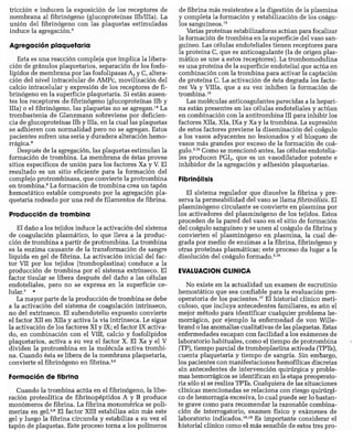 CLINICA QUIRURGICA - Cirugia pediatrica   ashcraft