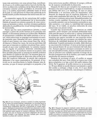 CLINICA QUIRURGICA - Cirugia pediatrica   ashcraft