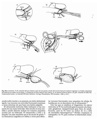 CLINICA QUIRURGICA - Cirugia pediatrica   ashcraft