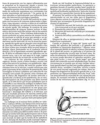 CLINICA QUIRURGICA - Cirugia pediatrica   ashcraft