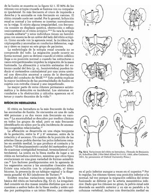 CLINICA QUIRURGICA - Cirugia pediatrica   ashcraft