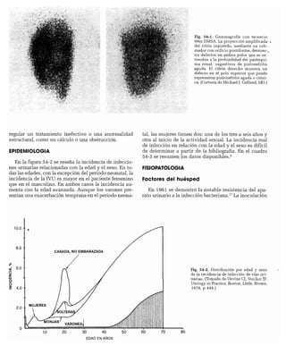 CLINICA QUIRURGICA - Cirugia pediatrica   ashcraft