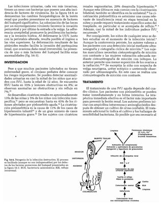 CLINICA QUIRURGICA - Cirugia pediatrica   ashcraft