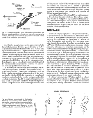 CLINICA QUIRURGICA - Cirugia pediatrica   ashcraft