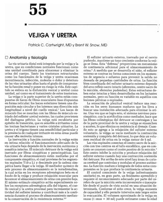 CLINICA QUIRURGICA - Cirugia pediatrica   ashcraft