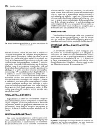CLINICA QUIRURGICA - Cirugia pediatrica   ashcraft