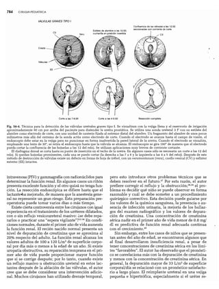 CLINICA QUIRURGICA - Cirugia pediatrica   ashcraft