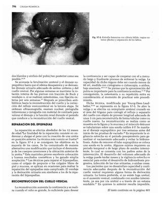 CLINICA QUIRURGICA - Cirugia pediatrica   ashcraft