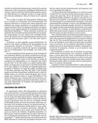 CLINICA QUIRURGICA - Cirugia pediatrica   ashcraft